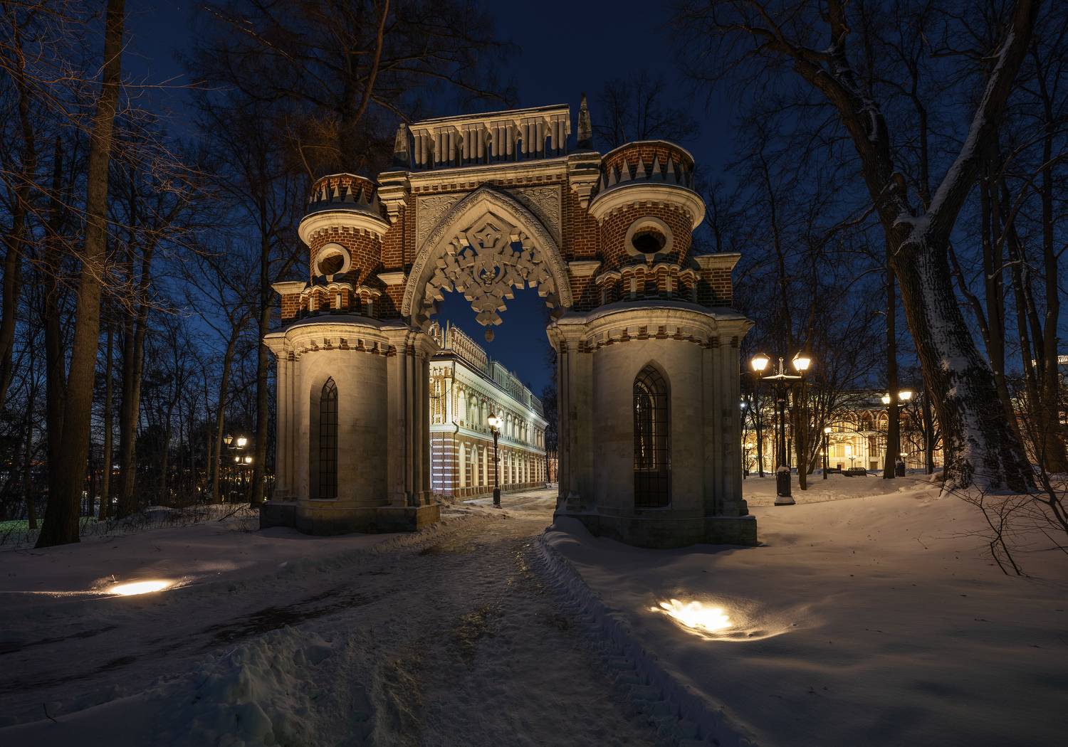 москва, царицыно, виноградные ворота, Зверев Олег