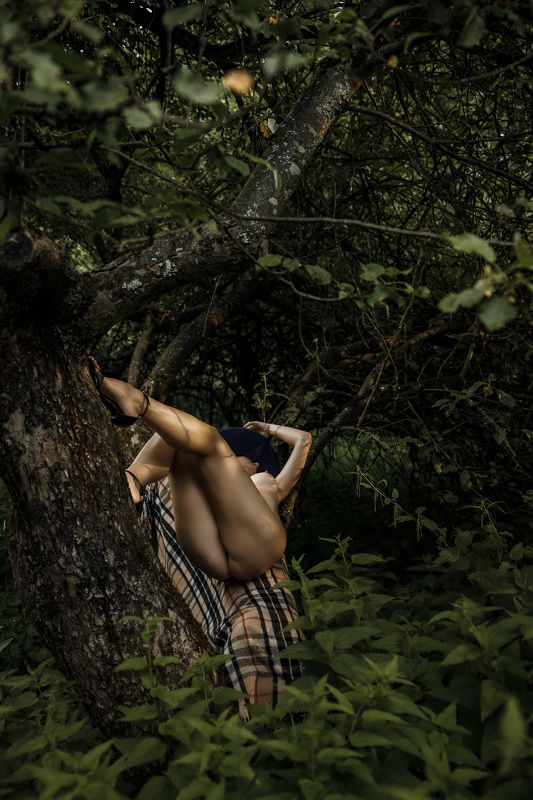 В саду фото превью