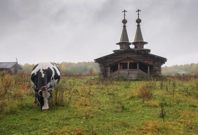 *** фото превью
