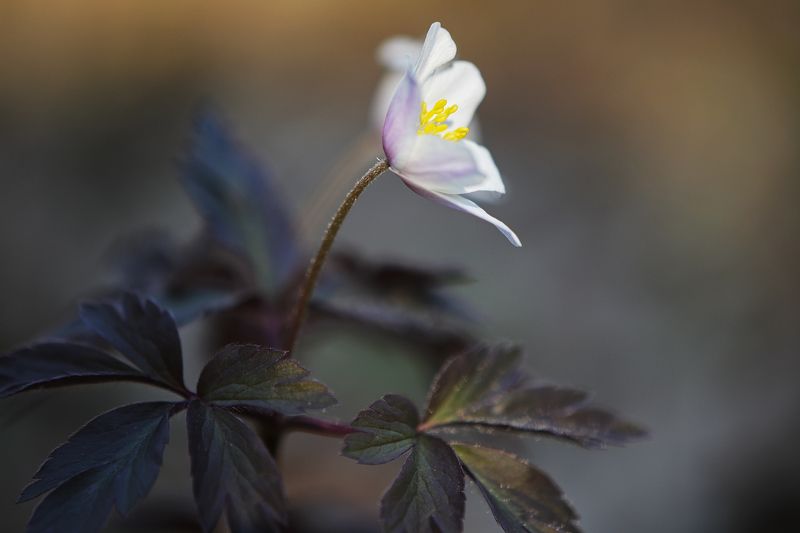 2024 фото превью