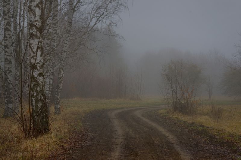 Туманное утро фото превью
