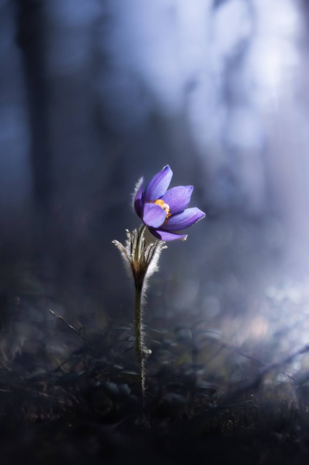 , Александра Юсупова