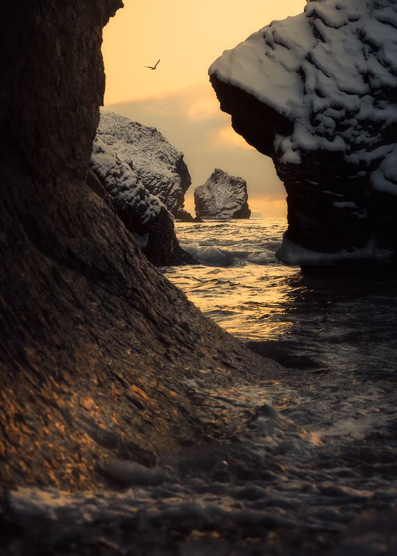 весна, море, скалы, чайка Полёт к весне фото превью