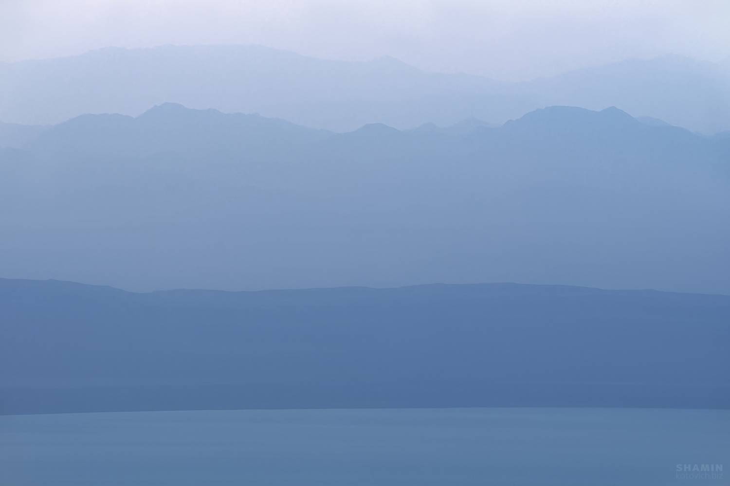 , Константин Шамин