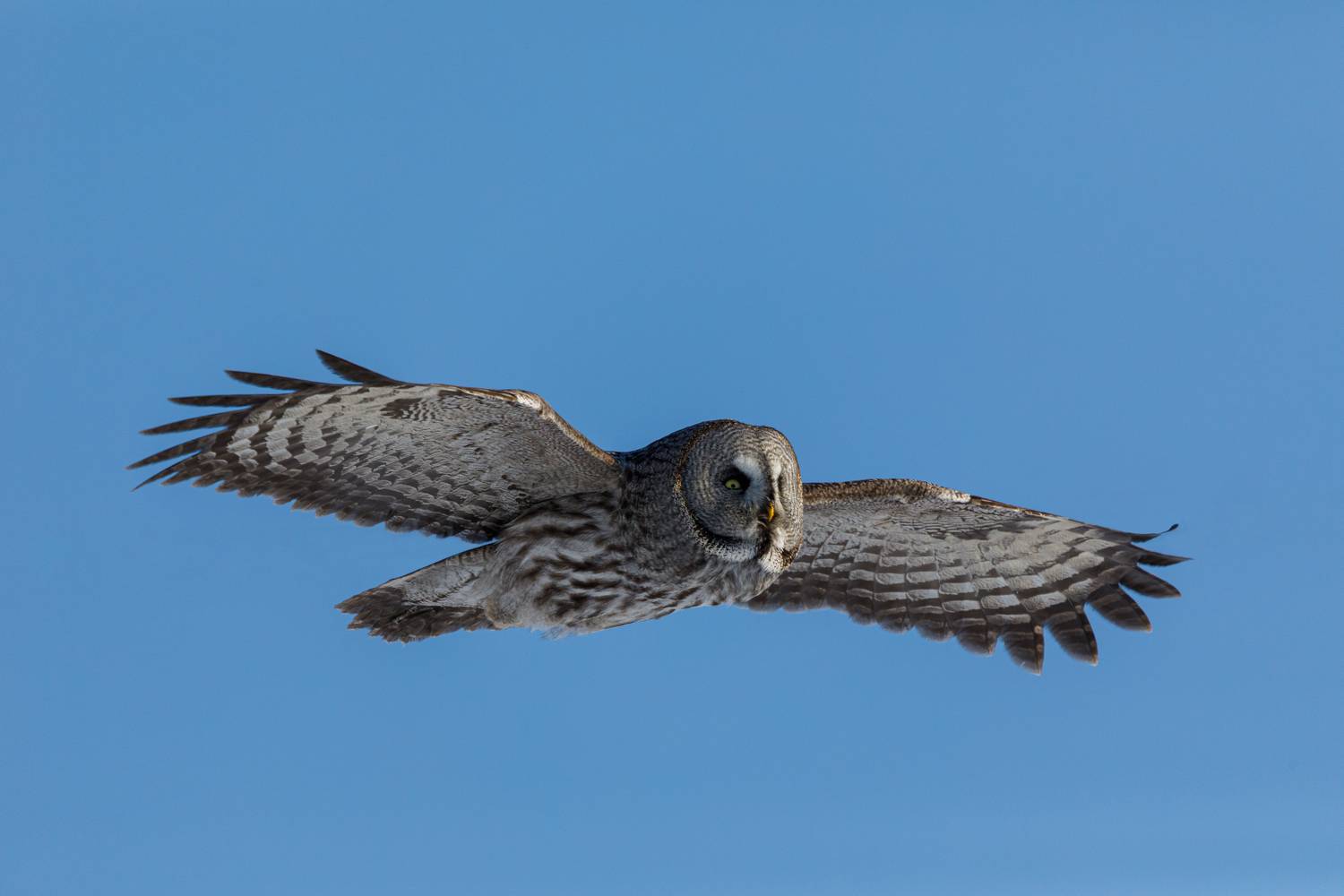 , Гильманов Артур