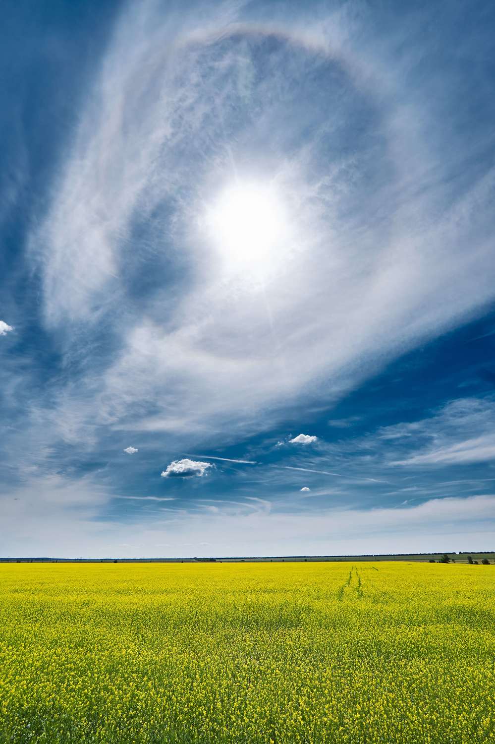 , Павел Сторчилов