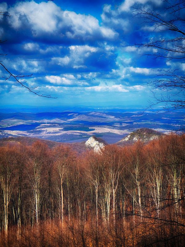 Perfect view фото превью
