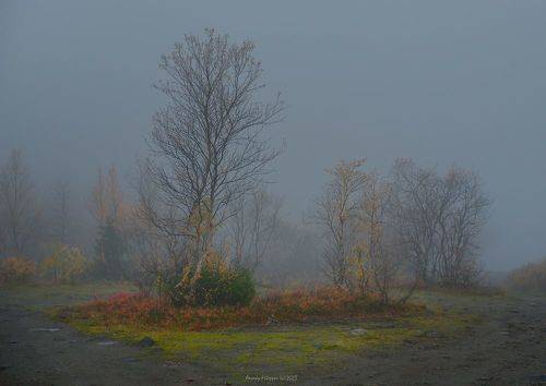 Autum at arctic region