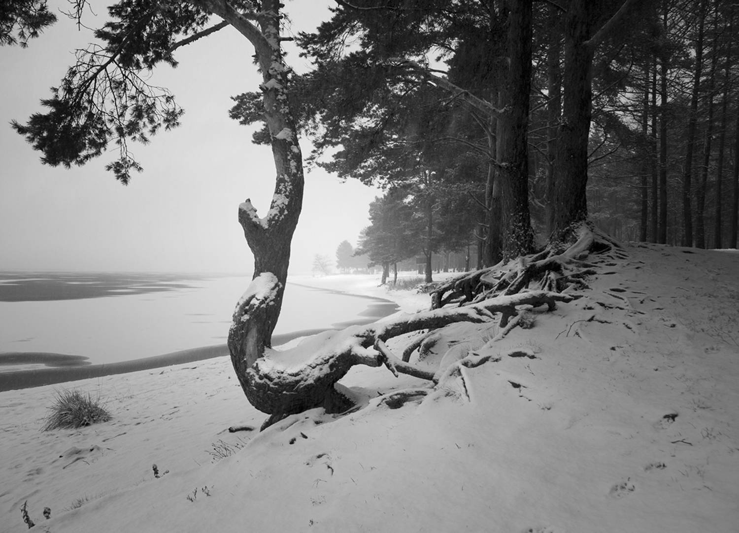 , Штабнов Юрий