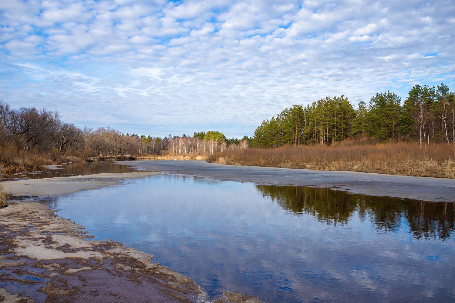 , Чудинин Дмитрий