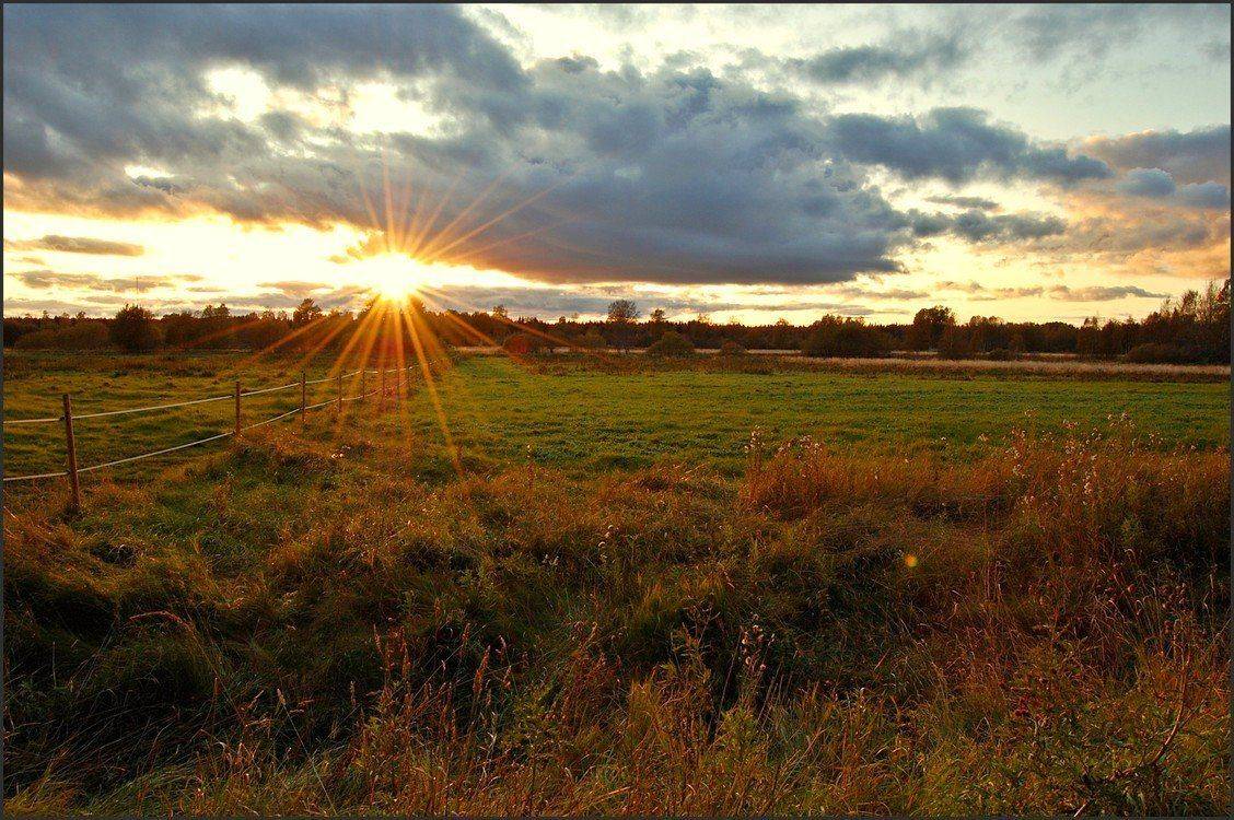 швеция,скандинавия,осень,пейзаж,природа, Елена