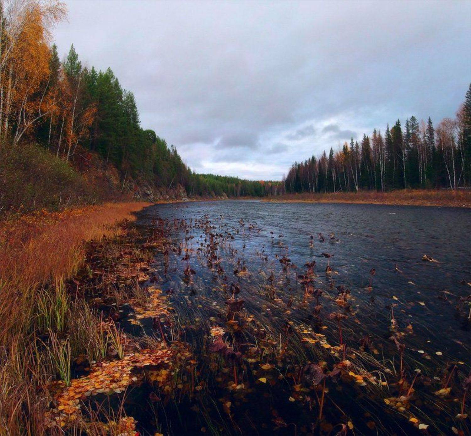 северный урал, большая сосьва, осень, Alexander Gil