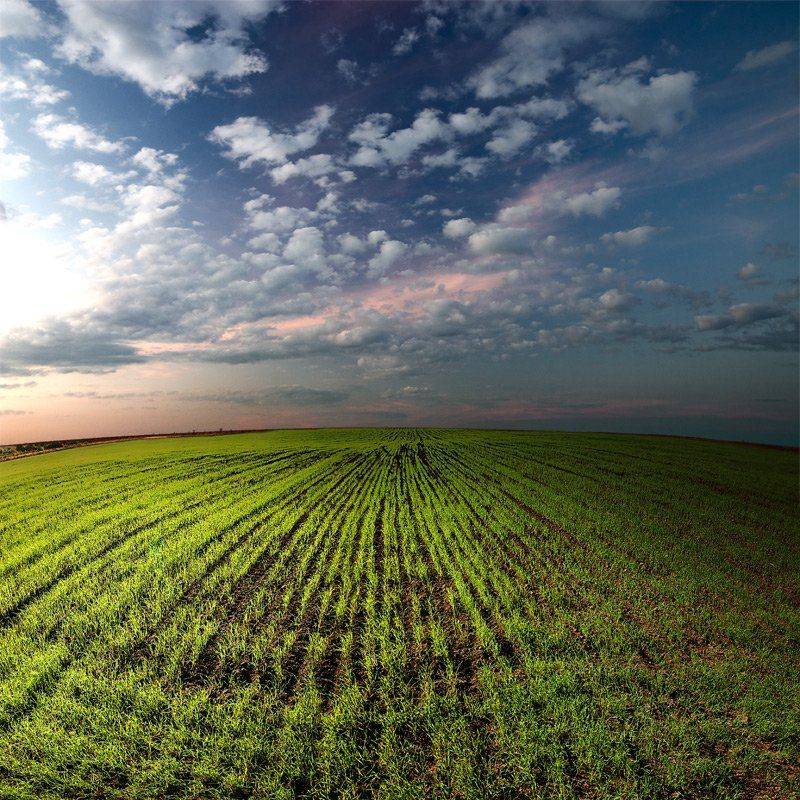 , Александр Дубовицкий