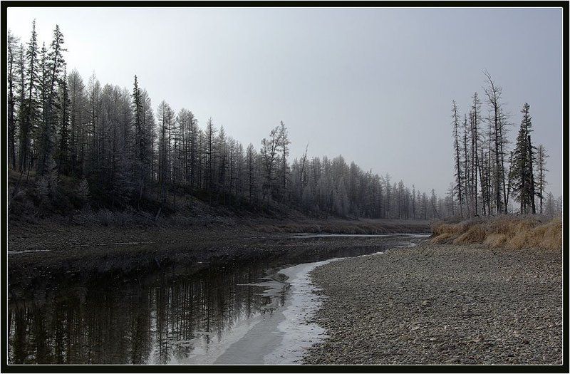 река, тайга, предзимье Скоро зима фото превью