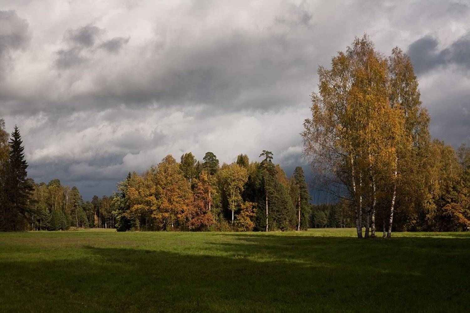 павловск, осень, Zodiac