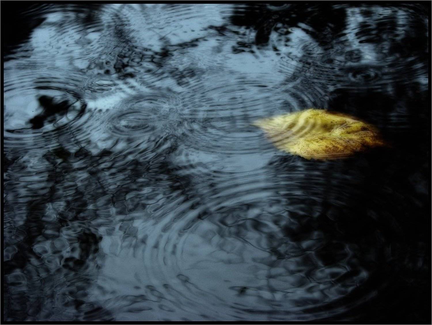 , Лунный Ежик