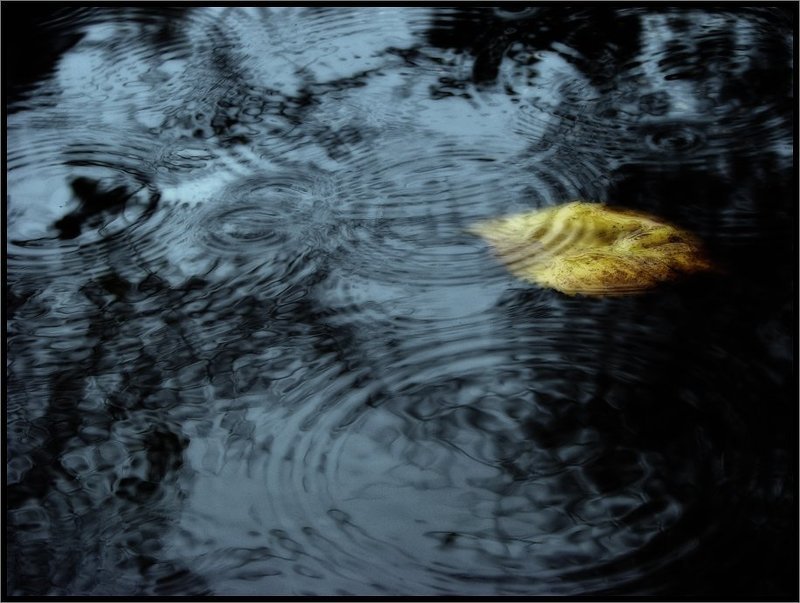 Грустная осенняя карточка про одинокий лист фото превью