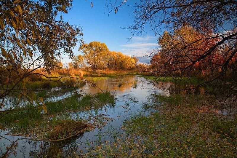 *** фото превью