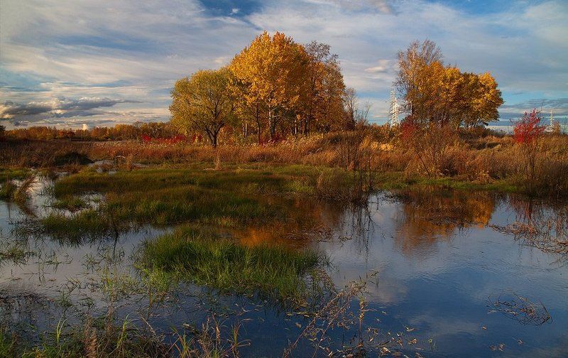 *** фото превью