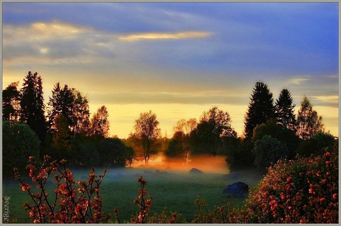 швеция,скандинавия,пейзаж,природа, Елена