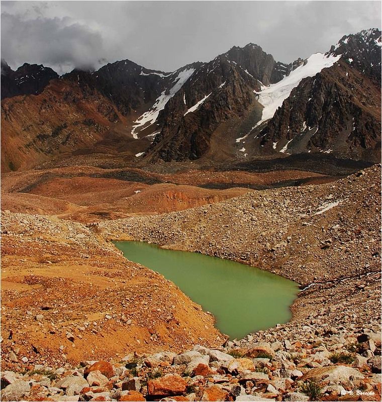 Каменный оазис фото превью