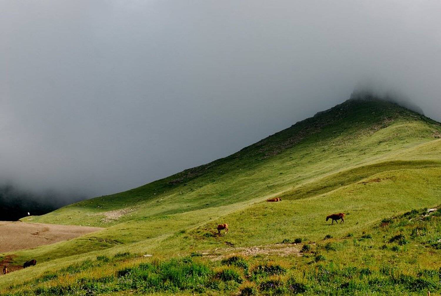 , Елена Винникова