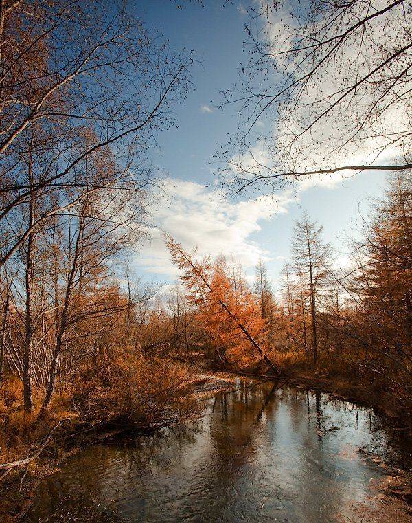 магадан, Sir Fisher