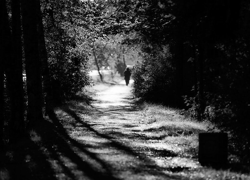 случайное солнечное утро фото превью