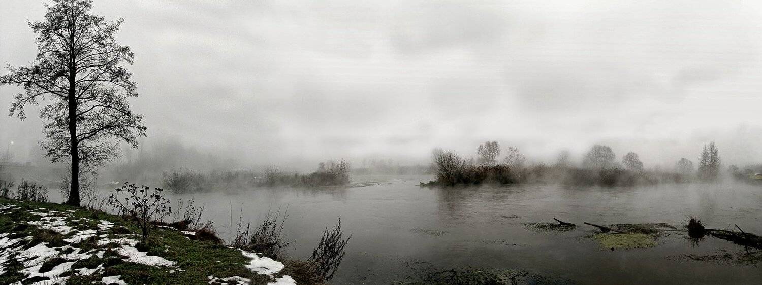 пробуждение, река, туман, дерево, вода, зима, трава, Макс Шамота