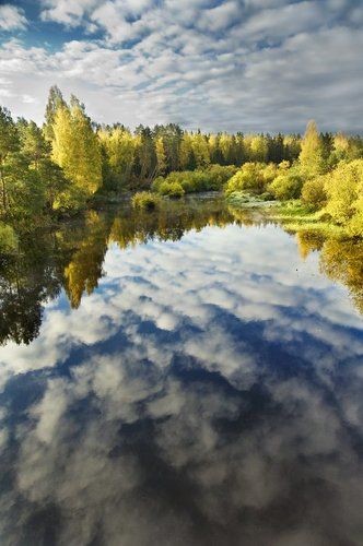 Краски уходящей осени