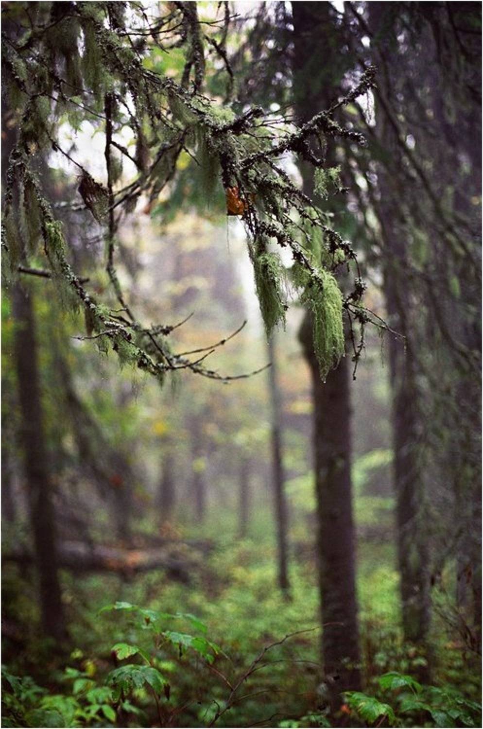 хребет, малый ямантау, южный урал, башкирия, Степанов Сергей