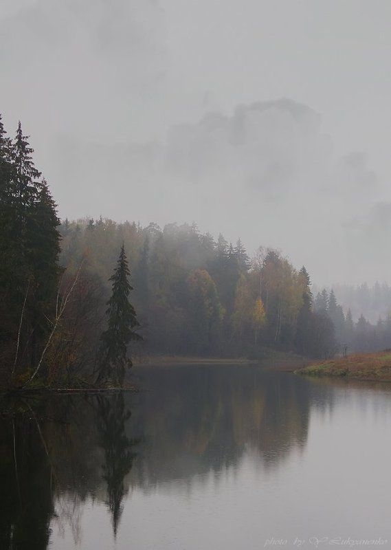 заоктябрило, осень, дождь, хмуро, лукьяненко Заоктябрило.... фото превью