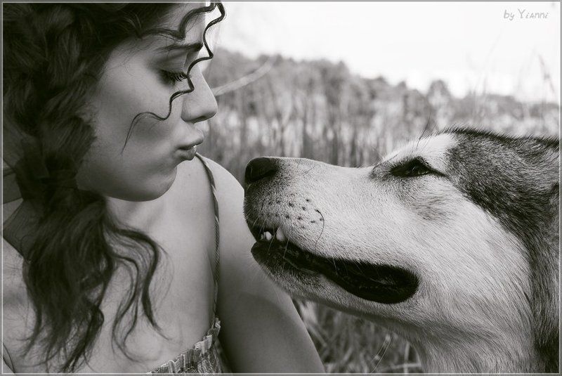 девушка, собака, чувства, преданность Чувства фото превью