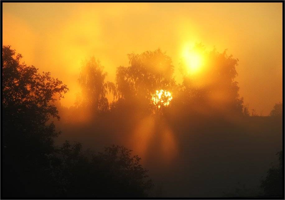 , Лунный Ежик