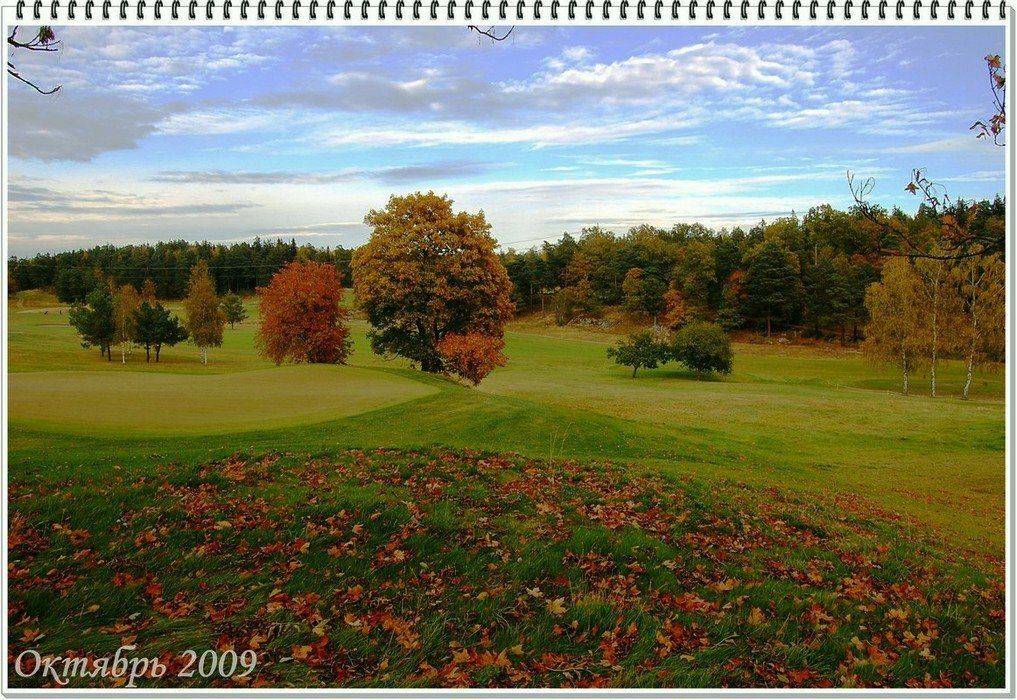 пейзаж,природа,швеция,скандинавия,осень, Елена