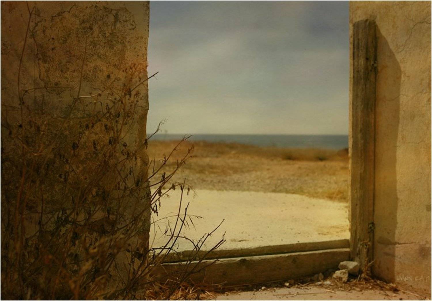 простая, картинка, про, море, кипр, Darn Cat