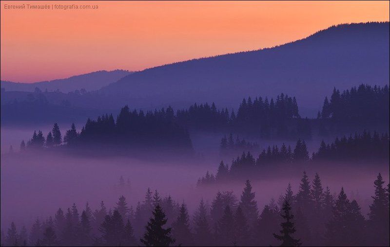 карпаты, пейзаж, горы, яблуница Туман в Яблунице фото превью