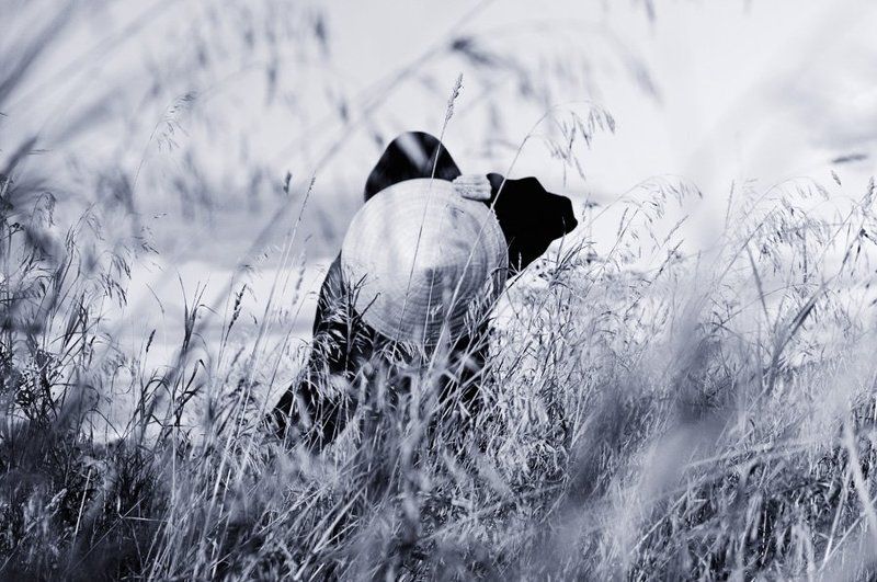 Imagine There\'s no Heaven фото превью