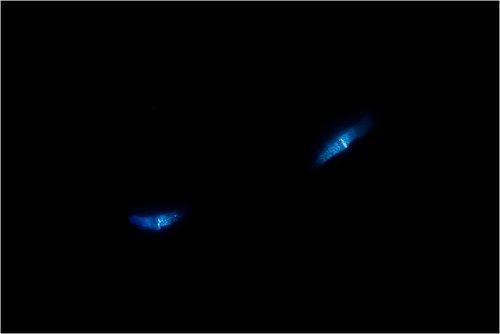 Глаза Глубины