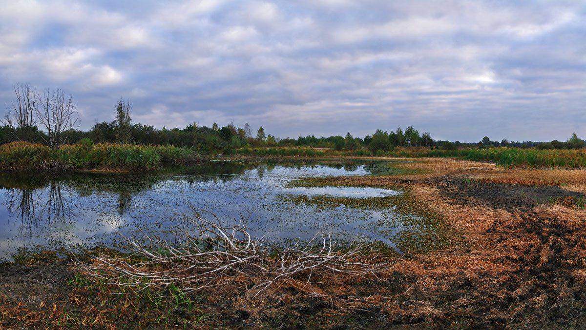 , Михаил Мочалов