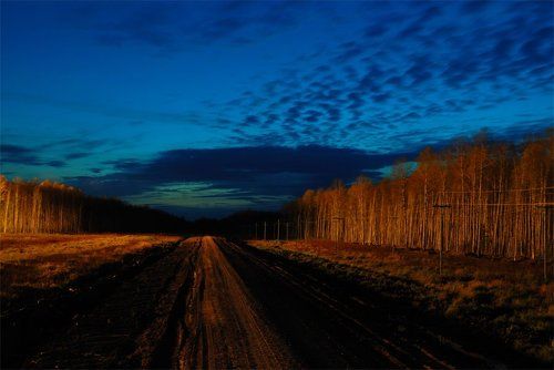 Дорог такая