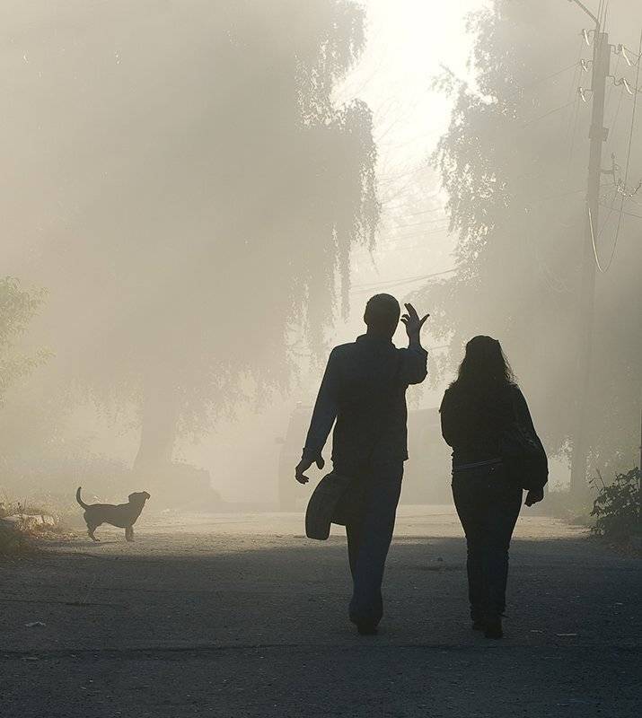 осень, туман, рассвет, девушка, юноша, собака, беседа, Андрей Алексеев