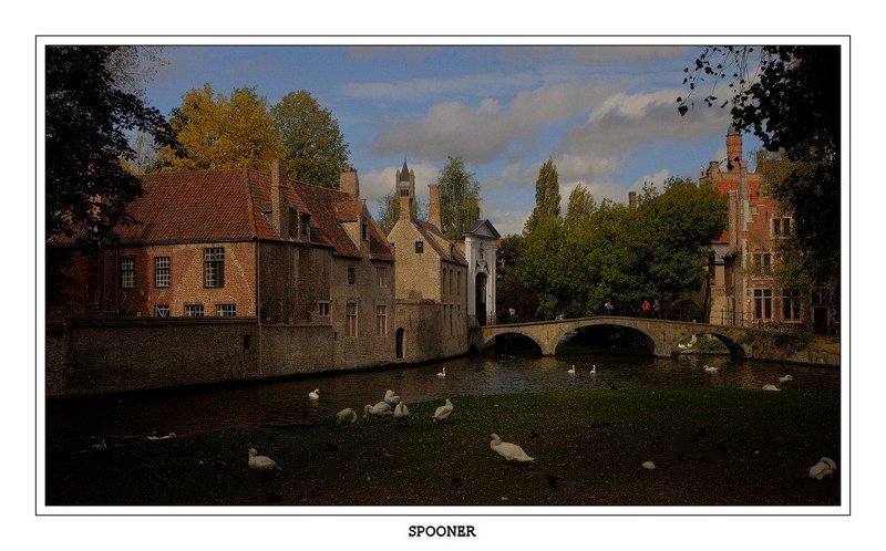 * * * фото превью