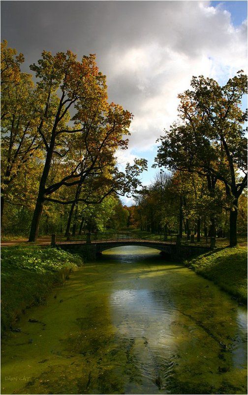 царское, село, парк, мостик, осень, погода Парковые зарисовки фото превью