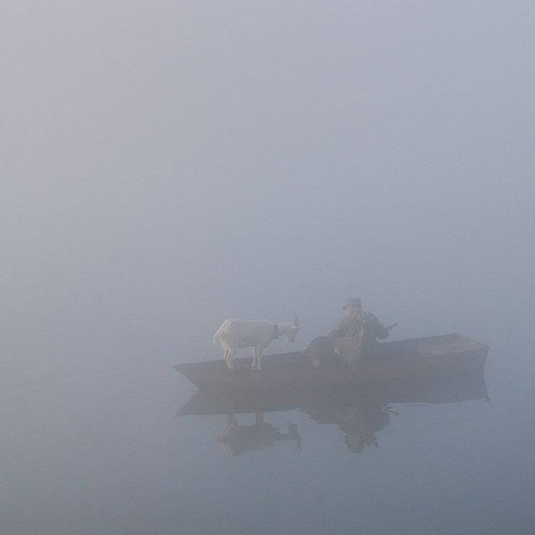 осень, рассвет, туман, лодка, мужик, козы,  тишина, Андрей Алексеев
