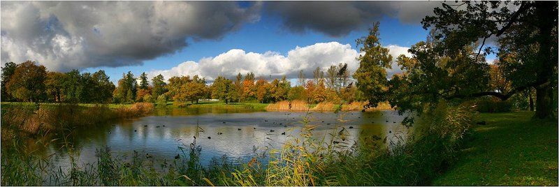 царское, село, парк, , осень, погода, озеро, утки Парковые зарисовки фото превью