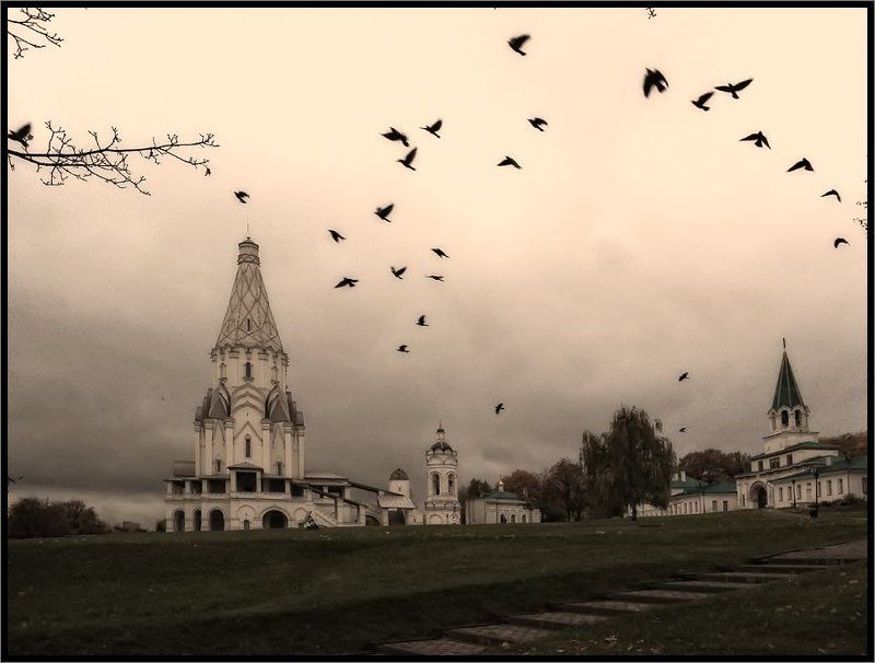 Стая фото превью