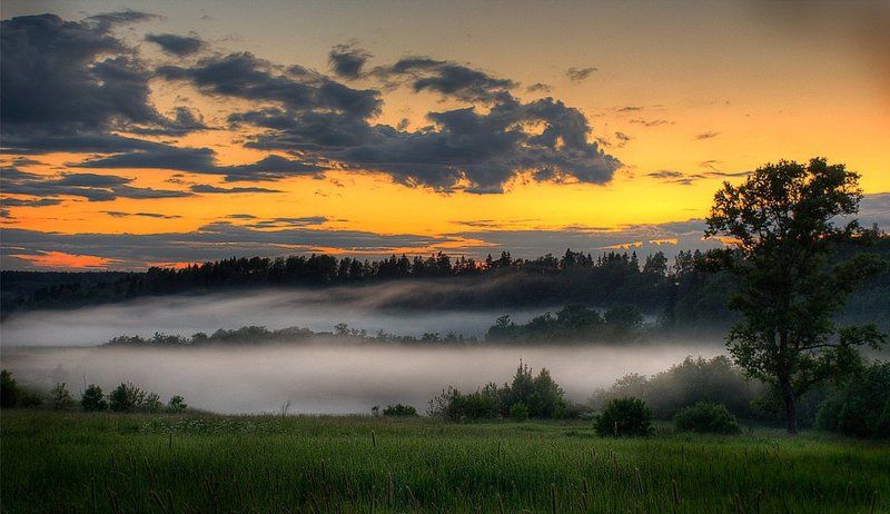 колыбель туманов фото превью