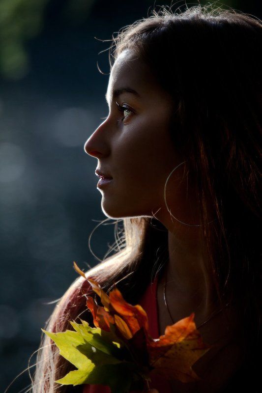 Волшебный свет осени... фото превью