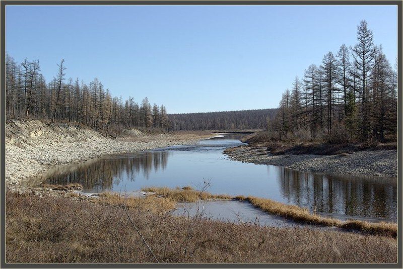 река,тайга,якутия,север,осень Пейзаж поздней осени фото превью